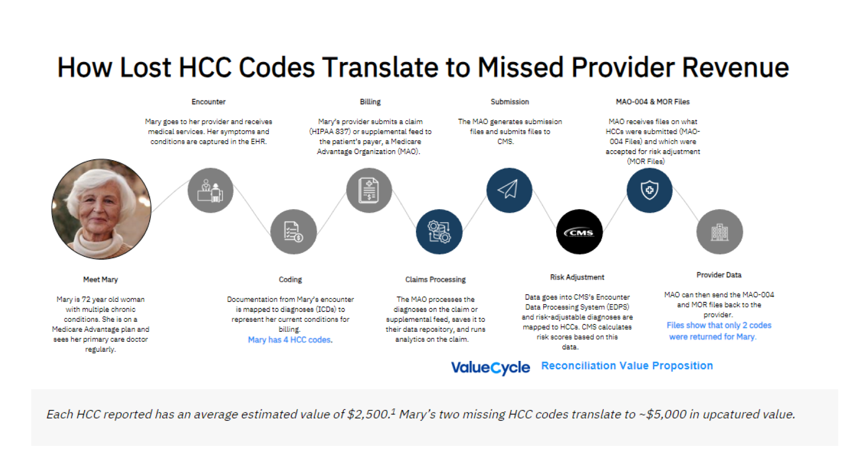 Mary Infographic